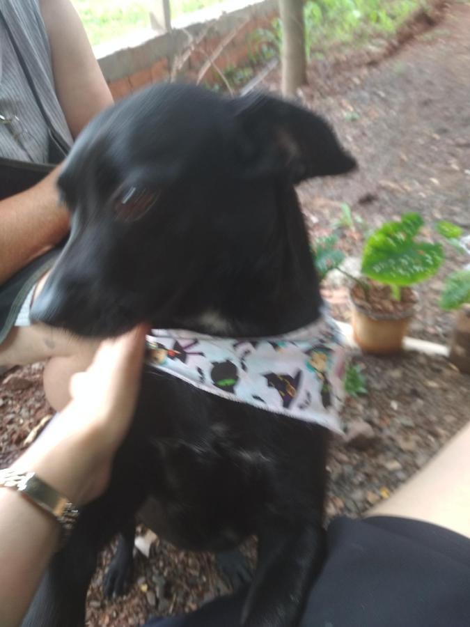 Estalagem Pousada Legal *