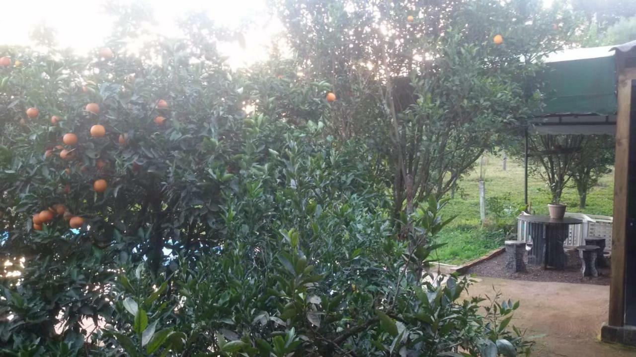 Inn Pousada Legal *